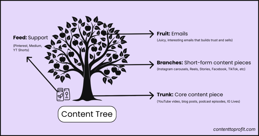 Graphic Showing Different Content Types